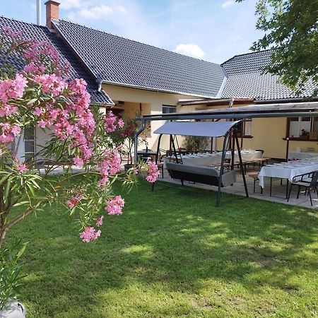 Tartós Szegfű Vendégház, Magánszállás Tazlar Extérieur photo