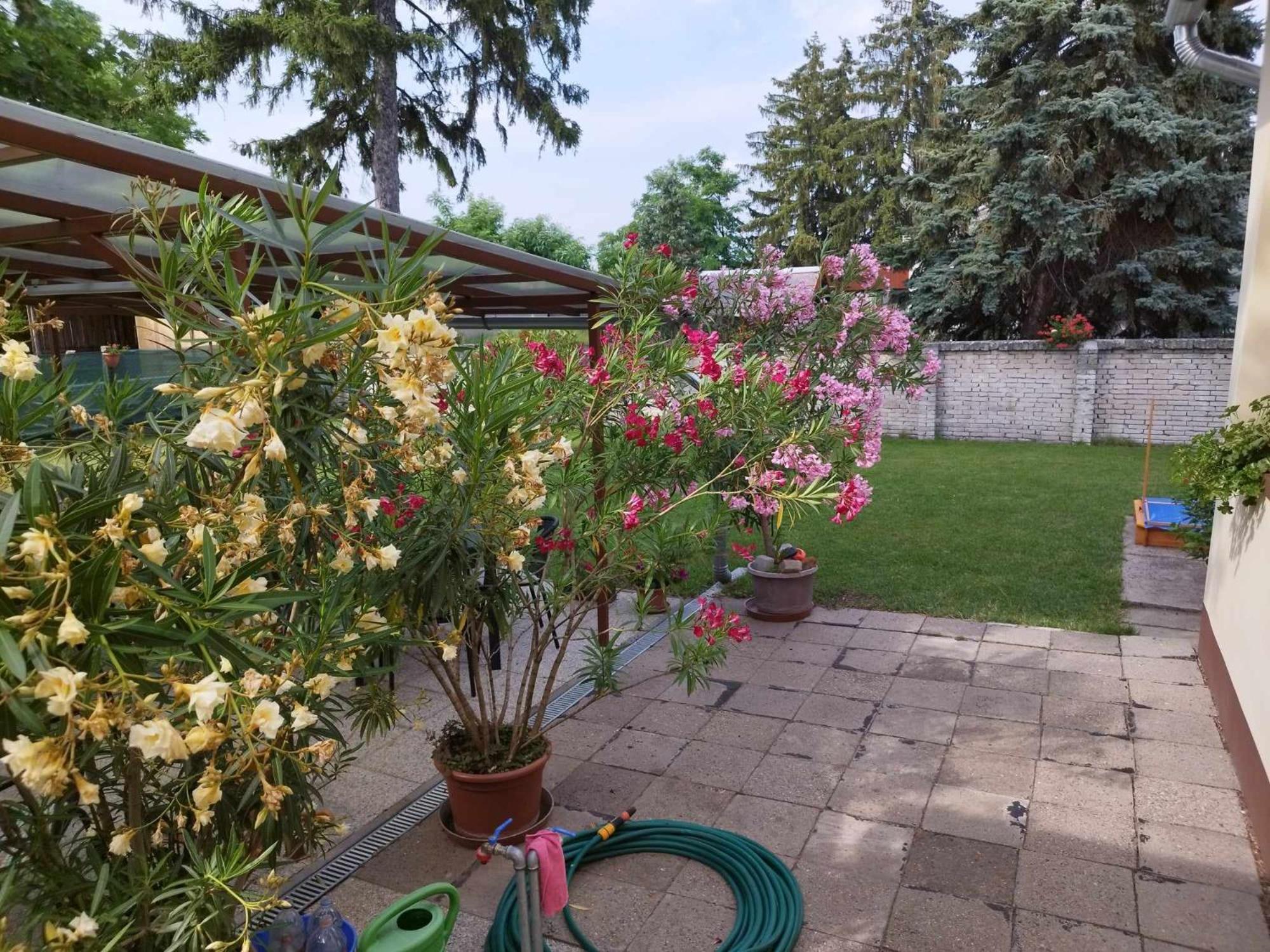 Tartós Szegfű Vendégház, Magánszállás Tazlar Extérieur photo