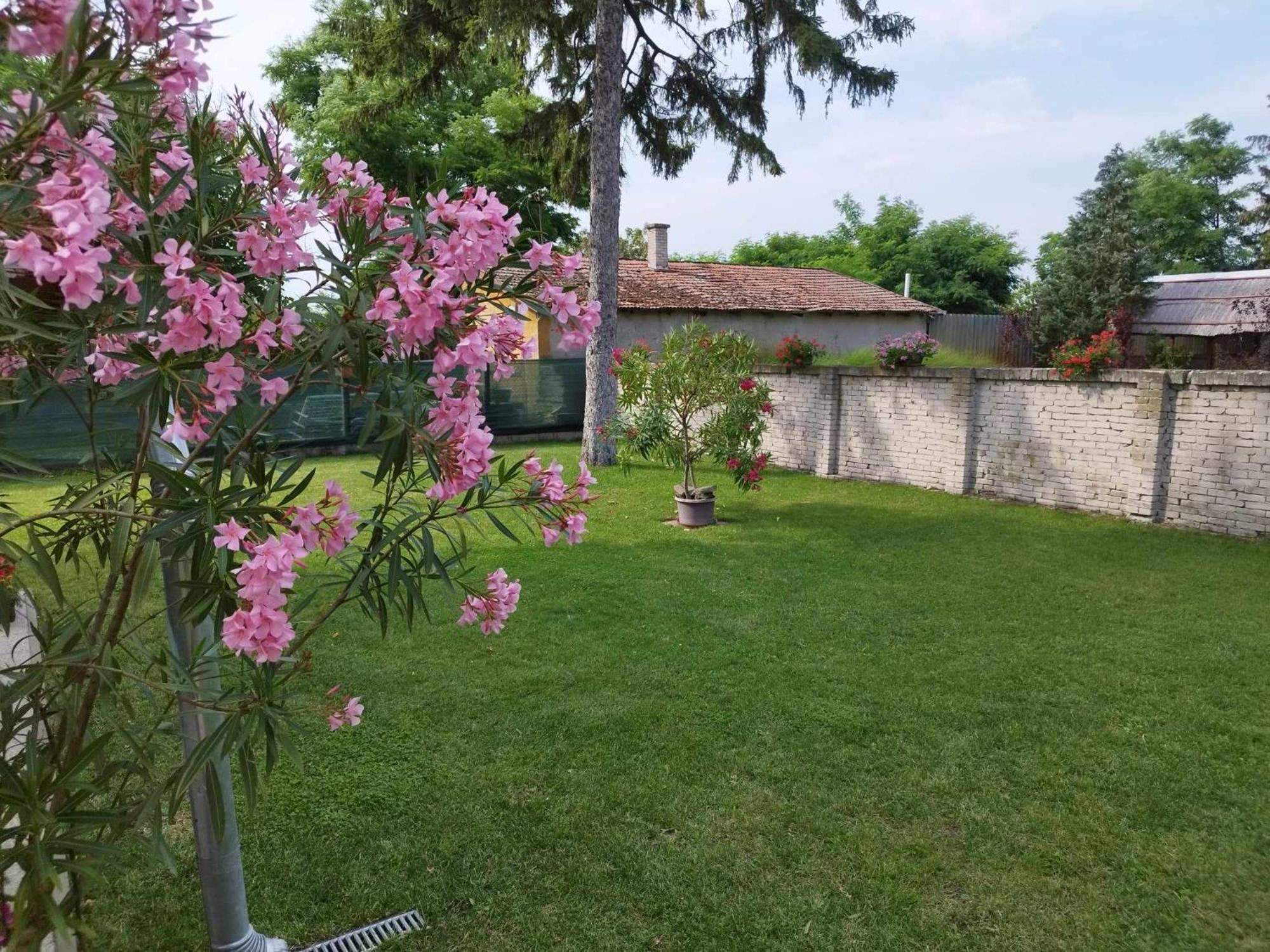 Tartós Szegfű Vendégház, Magánszállás Tazlar Extérieur photo