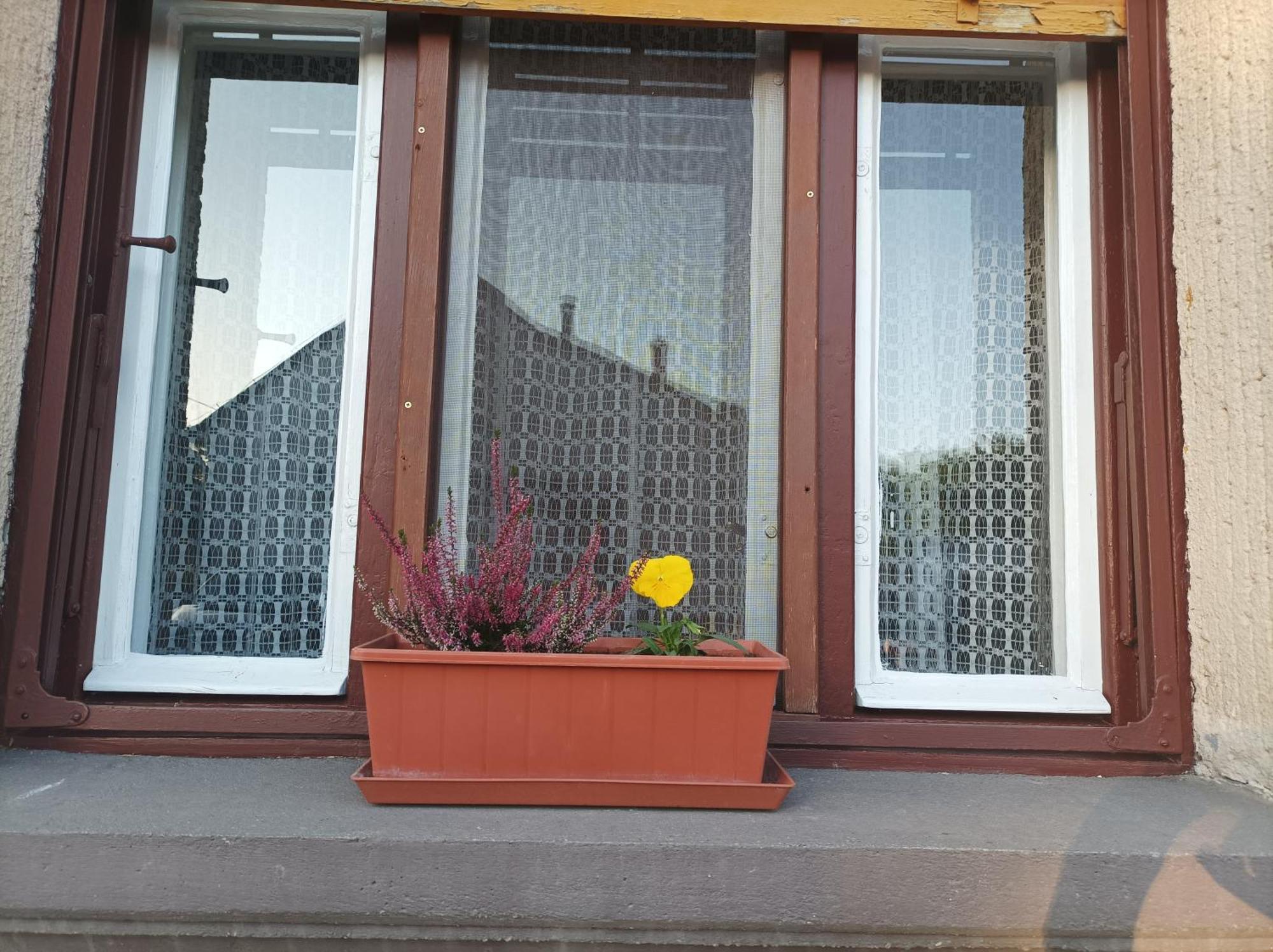 Tartós Szegfű Vendégház, Magánszállás Tazlar Extérieur photo