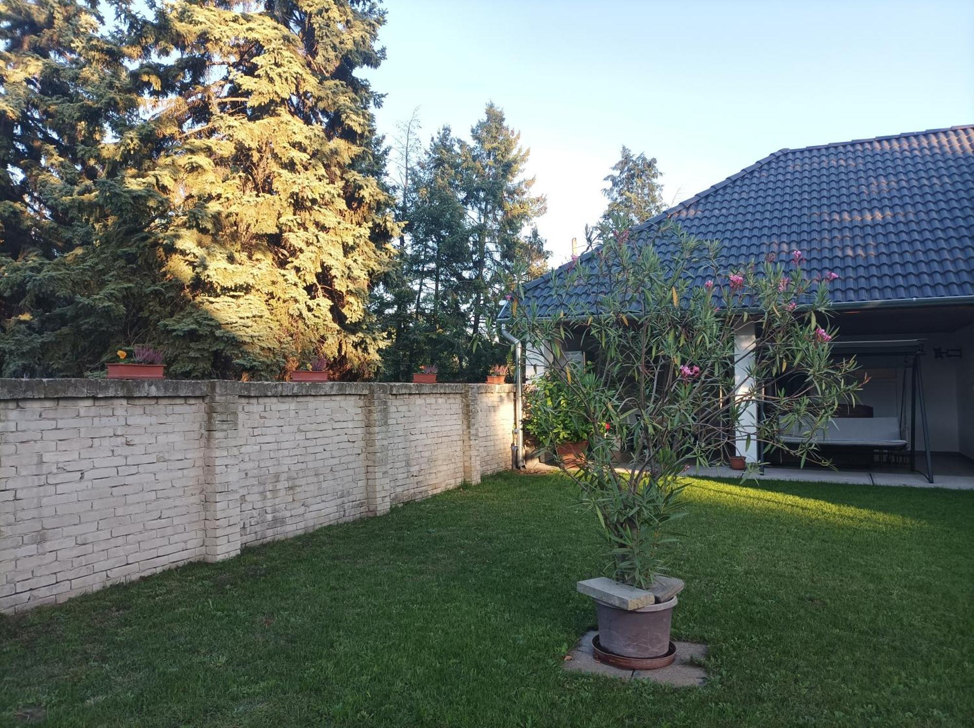 Tartós Szegfű Vendégház, Magánszállás Tazlar Extérieur photo